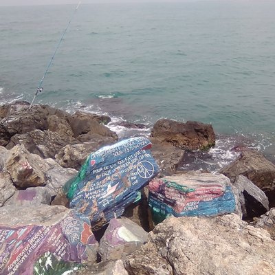 Profile Picture of KIMO KIM (@KIMOKIM38477412) on Twitter