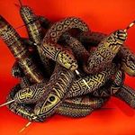 Mike Peyton - Instagram Profile Picture of Mike Peyton (@mikepeytoncreations) on Instagram