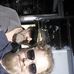 Profile Picture of Mark Gustafson (@mark.gustafson.9638) on Facebook