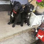 Profile Picture of Deborah Warner (@deborah.warner.3705) on Instagram