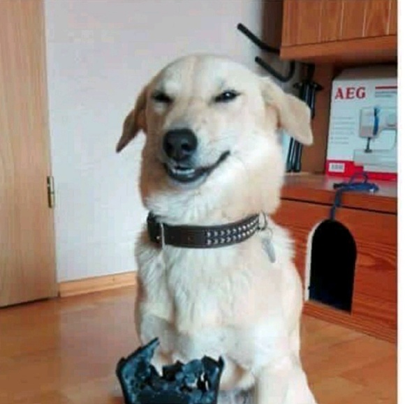 Profile Picture of Emina Ledenko (@minaaella) on Poshmark