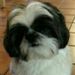 Profile Picture of Michael Dasaro (@michaelgdasaro) on Pinterest