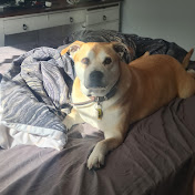 Marshall Teague - Youtube Profile Picture of Marshall Teague (@marshallteague6160) on Youtube