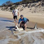 Michael Natoli - Instagram Profile Picture of Michael Natoli (@mick.natoli) on Instagram