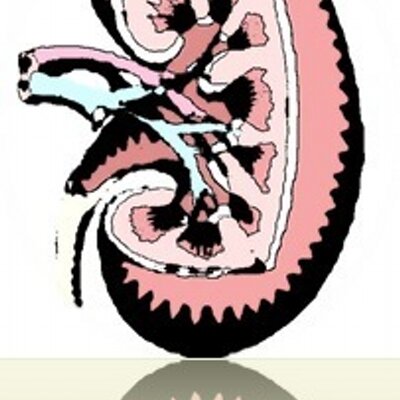 Profile Picture of Kidney Webley (@JasonLeftKidney) on Twitter