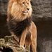 Profile Picture of Mahir Ahmed (@mahir.ahmed.12532364) on Facebook