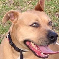 Profile Picture of Sam Weir (@sam-weir-20) on Quora