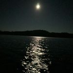 Justin Boisvert - Instagram Profile Picture of Justin Boisvert (@boisvert5045) on Instagram