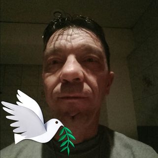 David Binninger - Facebook Profile Picture of David Binninger (@david.binninger.1) on Facebook