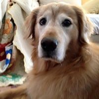 Profile Picture of Toni Janisch Aspacher (@toni-janisch-aspacher) on Quora