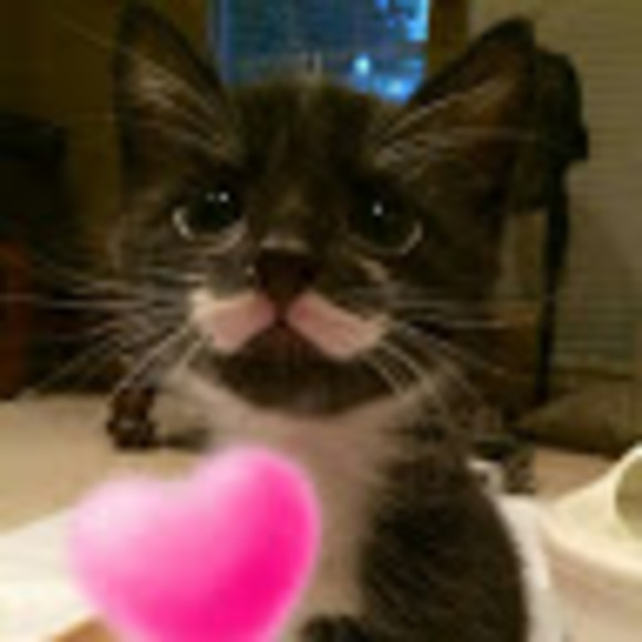 Profile Picture of Haley Munn (@hnmunn) on Poshmark