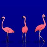 Profile Picture of Max McCain (@mccain_chips) on Instagram