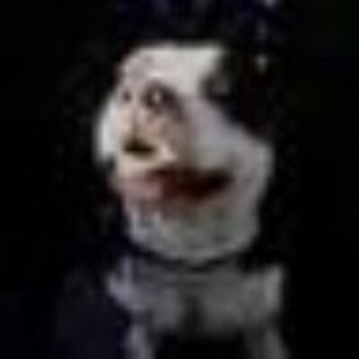 Profile Picture of Leo Montgomery (@leoqfadl) on Twitter