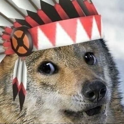 Profile Picture of Matthew Serrato (@MattSerrato) on Twitter