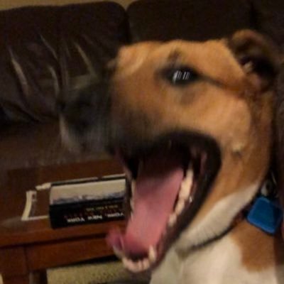 Jason - Twitter Profile Picture of Jason (@stoff_jc) on Twitter