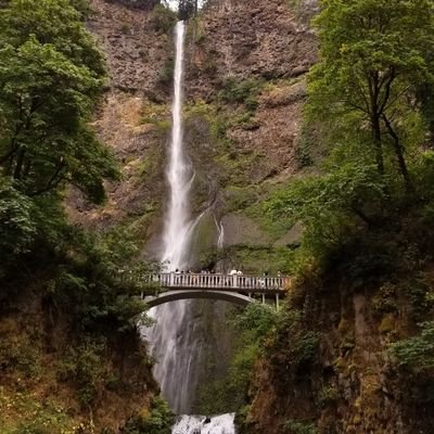 Profile Picture of Nat (@NathanSeibert1) on Twitter