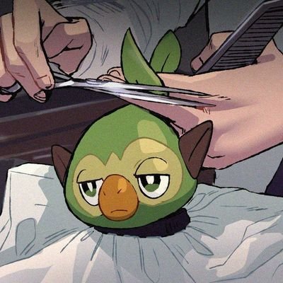 Profile Picture of Grook (@Rowpika) on Twitter