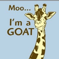 Profile Picture of Frank Bilotta (@frank-bilotta-3) on Quora