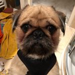 Profile Picture of Cheryl Edwards (@northerncheryledwards) on Instagram