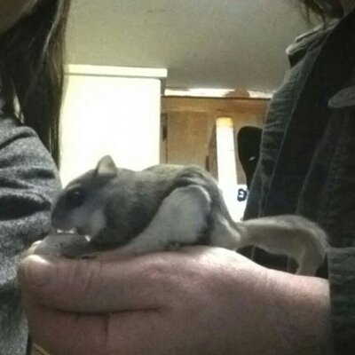 Profile Picture of Deb Ostaff (@DebOstaff) on Twitter