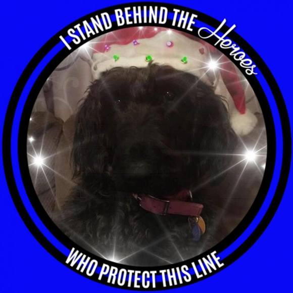 Profile Picture of Linda Hagerbaumer (@linda_329) on Poshmark