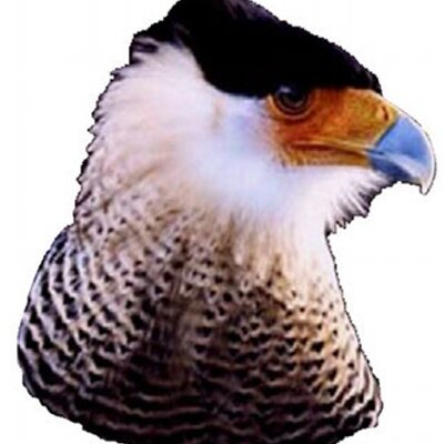 Profile Picture of Pitacadas (@pitacadas) on Twitter
