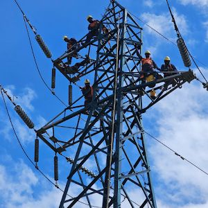 Profile Picture of Peter Matasau (@peter.matasau) on Tiktok