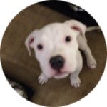 Profile Picture of Wendy Benfield Bagley (@ashley41899) on Instagram