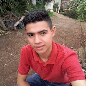 Profile Picture of Wilber Alvarado (@wilberalvarado6228) on Youtube