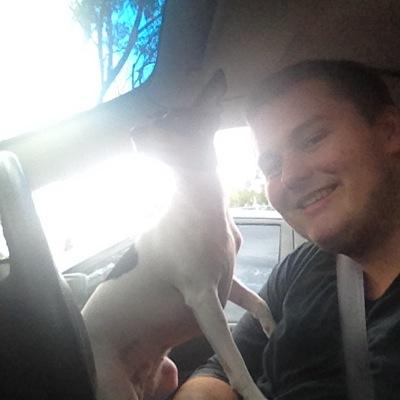 Profile Picture of David Callen (@davidcallen2011) on Twitter