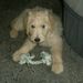 Profile Picture of Jason Szymanski (@szymanski1999) on Pinterest
