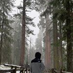 Profile Picture of Marc Greenlee (@marcgreenlee) on Instagram