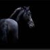 Profile Picture of Ken Kopper (@Ken-Kopper) on Facebook
