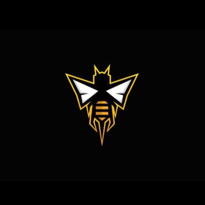 Profile Picture of Wamil Wasps (@WamilWasps) on Twitter