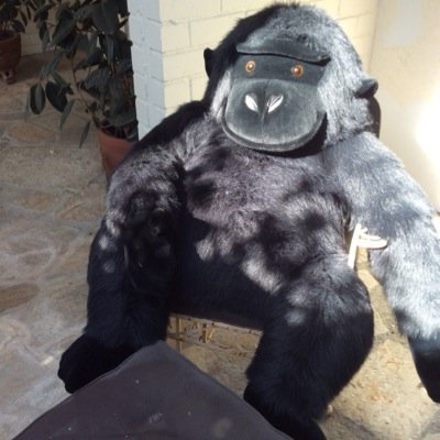 Profile Picture of Robert Bakal (@grandpabob428) on Twitter