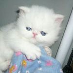 Profile Picture of Андрей Кличко (@klichko__123) on Instagram