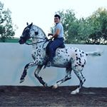 Profile Picture of Gregorio Pardo (@gregoriopardo) on Instagram