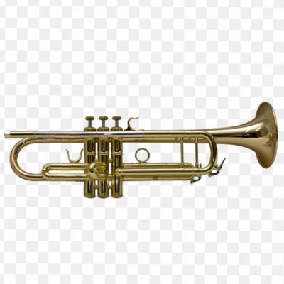 Profile Picture of Trum-petter (@jeff4chief) on Twitter