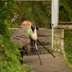 Profile Picture of Julia Mann (@msdiscus) on Pinterest