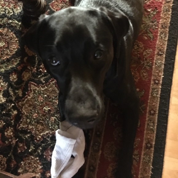 Anne Bayly - Poshmark Profile Picture of Anne Bayly (@baychest) on Poshmark