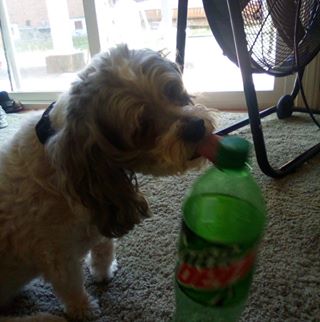 Profile Picture of Nancy Hash (@jamie.dickerson.98837) on Facebook