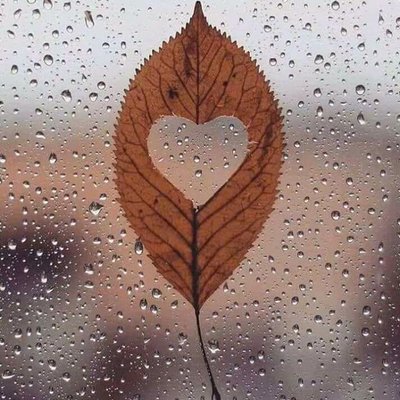 Profile Picture of Ahmed Mursal (@Ahmedmu71191757) on Twitter