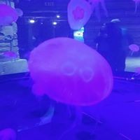 Profile Picture of Kim Darnell (@kim-darnell-8) on Quora