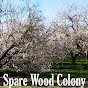 Profile Picture of Spare Wood Colony (@@sparewoodcolony) on Tiktok