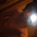 Profile Picture of Andrew Casto (@andrew.casto.16) on Facebook
