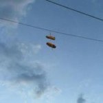 Profile Picture of Jeanzanne Di Sarli (@jeanzannedisarli) on Instagram