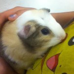 Profile Picture of Beuer Daniel (@beurerforeve) on Instagram