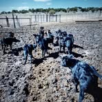 Profile Picture of Ellison Davis (@Ellison-Davis) on Facebook