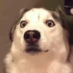 Profile Picture of Andy Murrieta Bhrqz (@AndyRulezZz) on Twitter