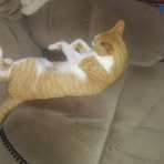 Profile Picture of Randy Stickles (@randy.stickles.7) on Facebook